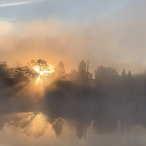 dawn sun shining through trees and reflecting in lakd